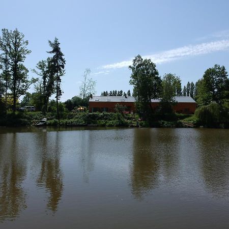 Florennes Gite Neuf 150 M2 Devant Un Grand Lac Prive De 2 Hectares Poissonneux Au Milieu Des Bois Exteriér fotografie