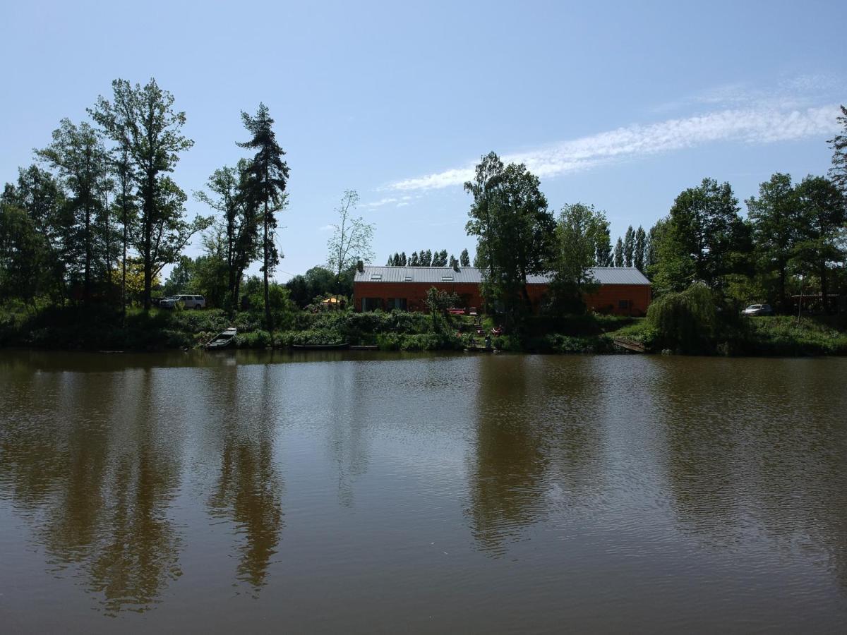 Florennes Gite Neuf 150 M2 Devant Un Grand Lac Prive De 2 Hectares Poissonneux Au Milieu Des Bois Exteriér fotografie