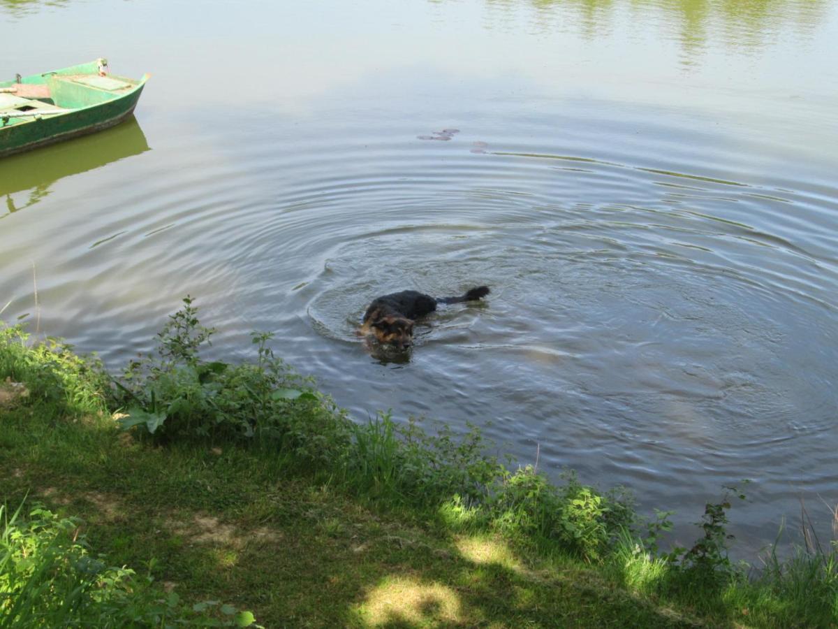 Florennes Gite Neuf 150 M2 Devant Un Grand Lac Prive De 2 Hectares Poissonneux Au Milieu Des Bois Exteriér fotografie