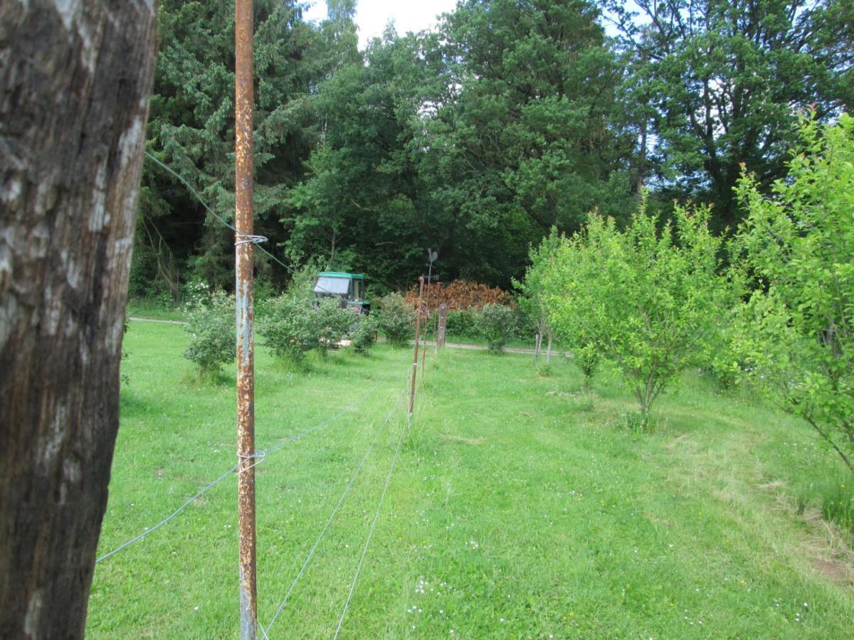 Florennes Gite Neuf 150 M2 Devant Un Grand Lac Prive De 2 Hectares Poissonneux Au Milieu Des Bois Exteriér fotografie
