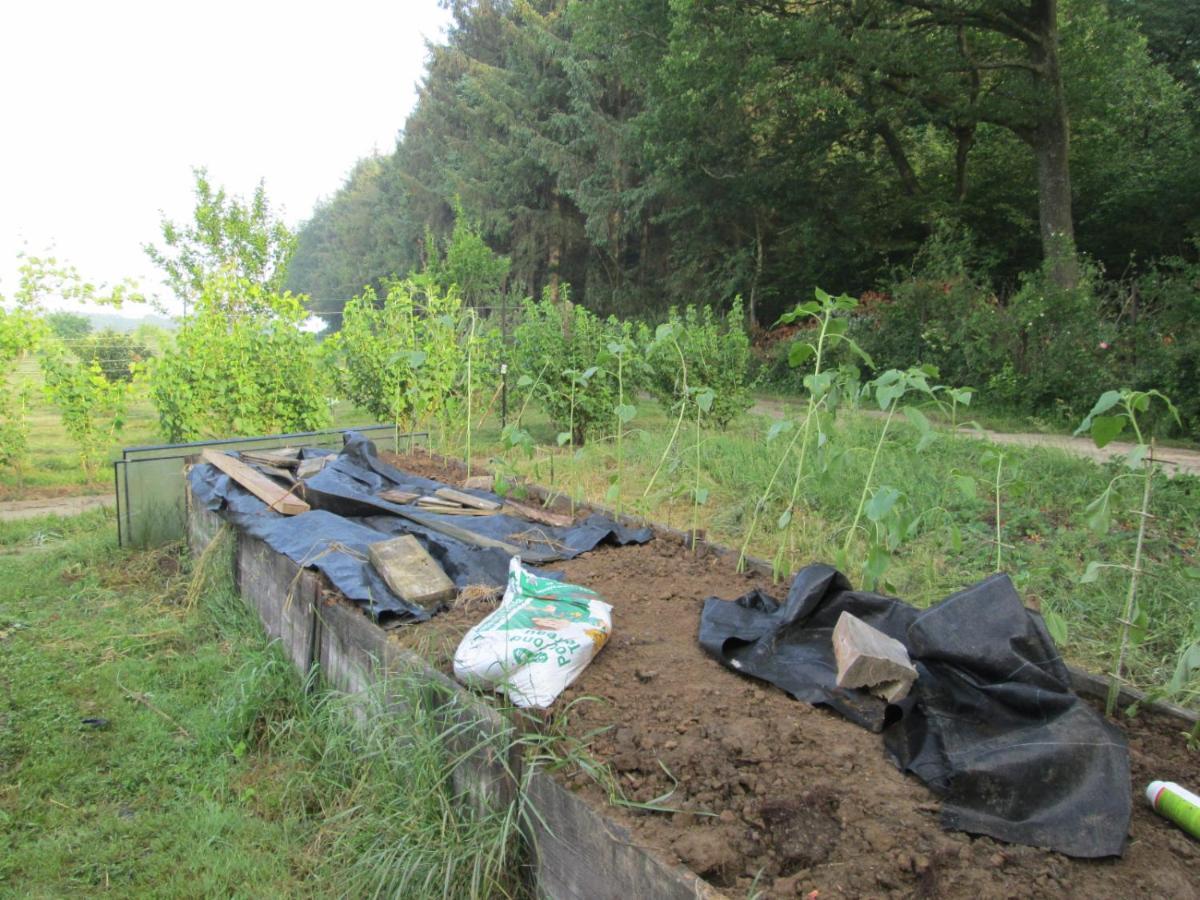 Florennes Gite Neuf 150 M2 Devant Un Grand Lac Prive De 2 Hectares Poissonneux Au Milieu Des Bois Exteriér fotografie