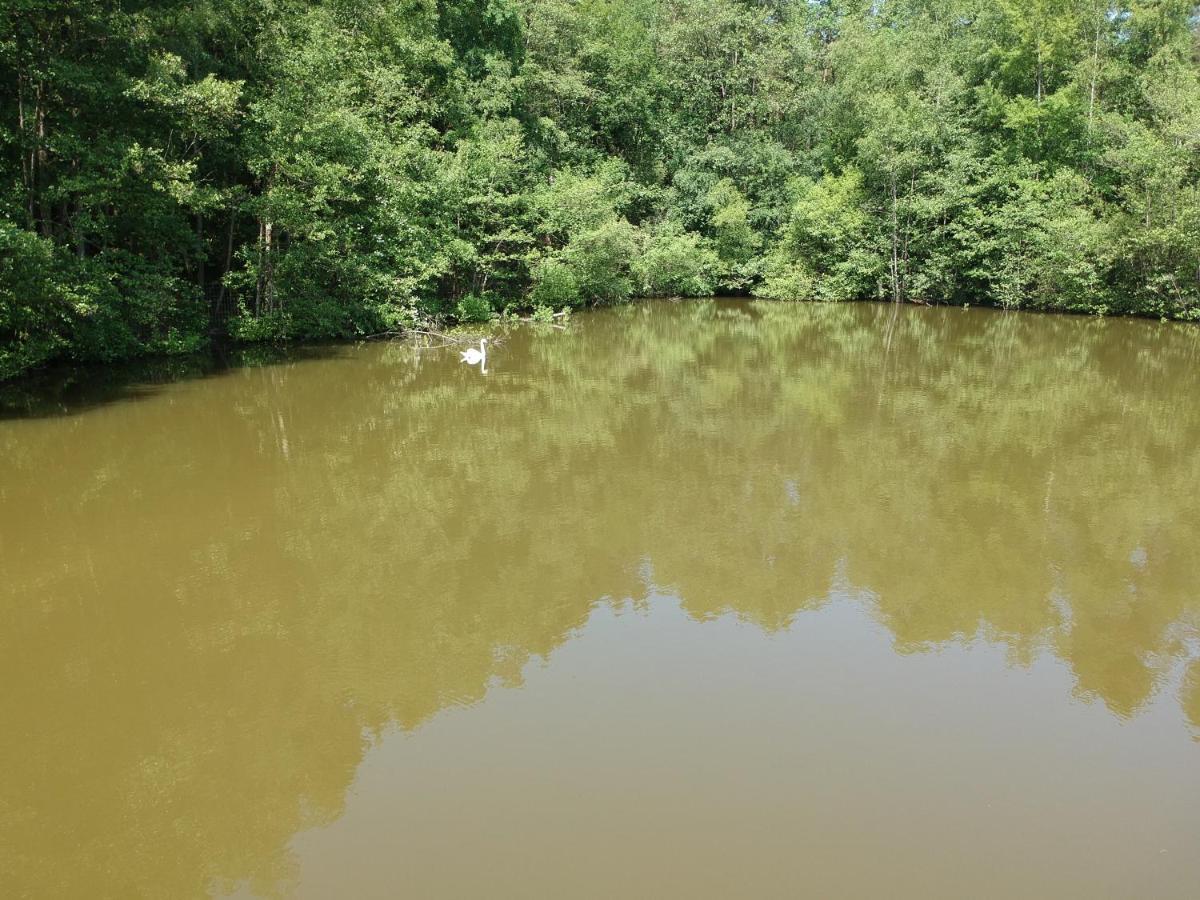 Florennes Gite Neuf 150 M2 Devant Un Grand Lac Prive De 2 Hectares Poissonneux Au Milieu Des Bois Exteriér fotografie