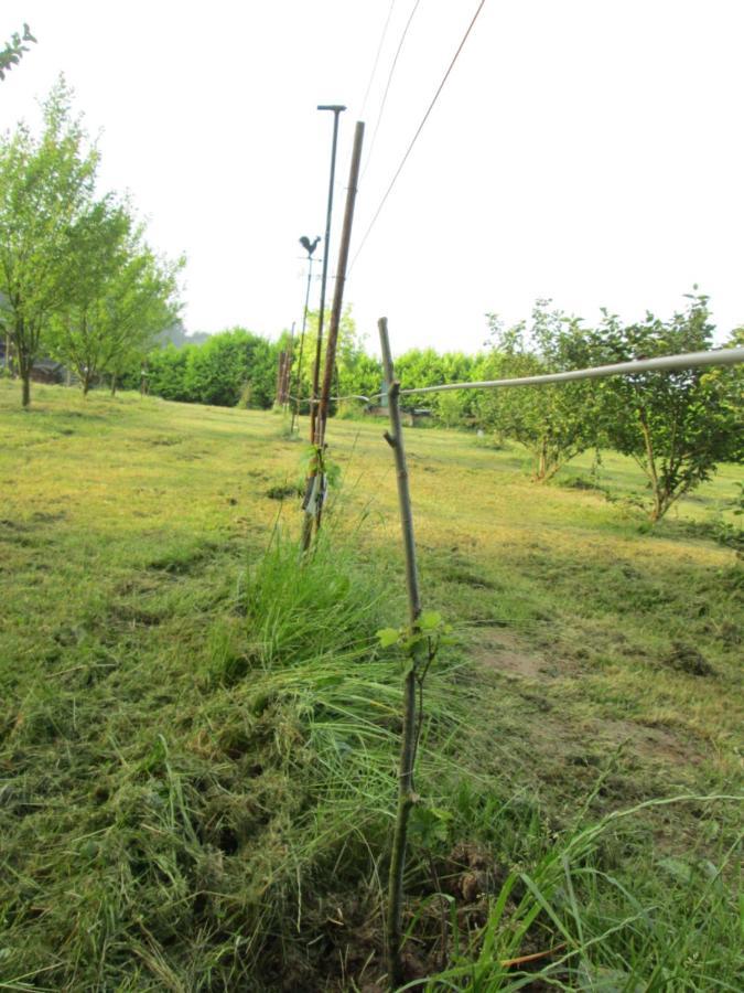 Florennes Gite Neuf 150 M2 Devant Un Grand Lac Prive De 2 Hectares Poissonneux Au Milieu Des Bois Exteriér fotografie
