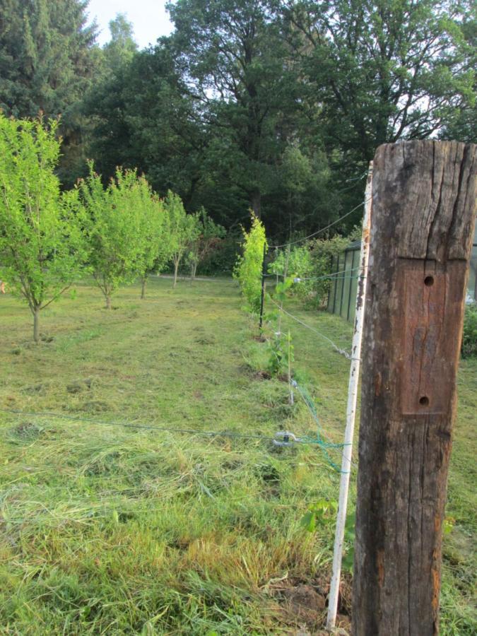 Florennes Gite Neuf 150 M2 Devant Un Grand Lac Prive De 2 Hectares Poissonneux Au Milieu Des Bois Exteriér fotografie
