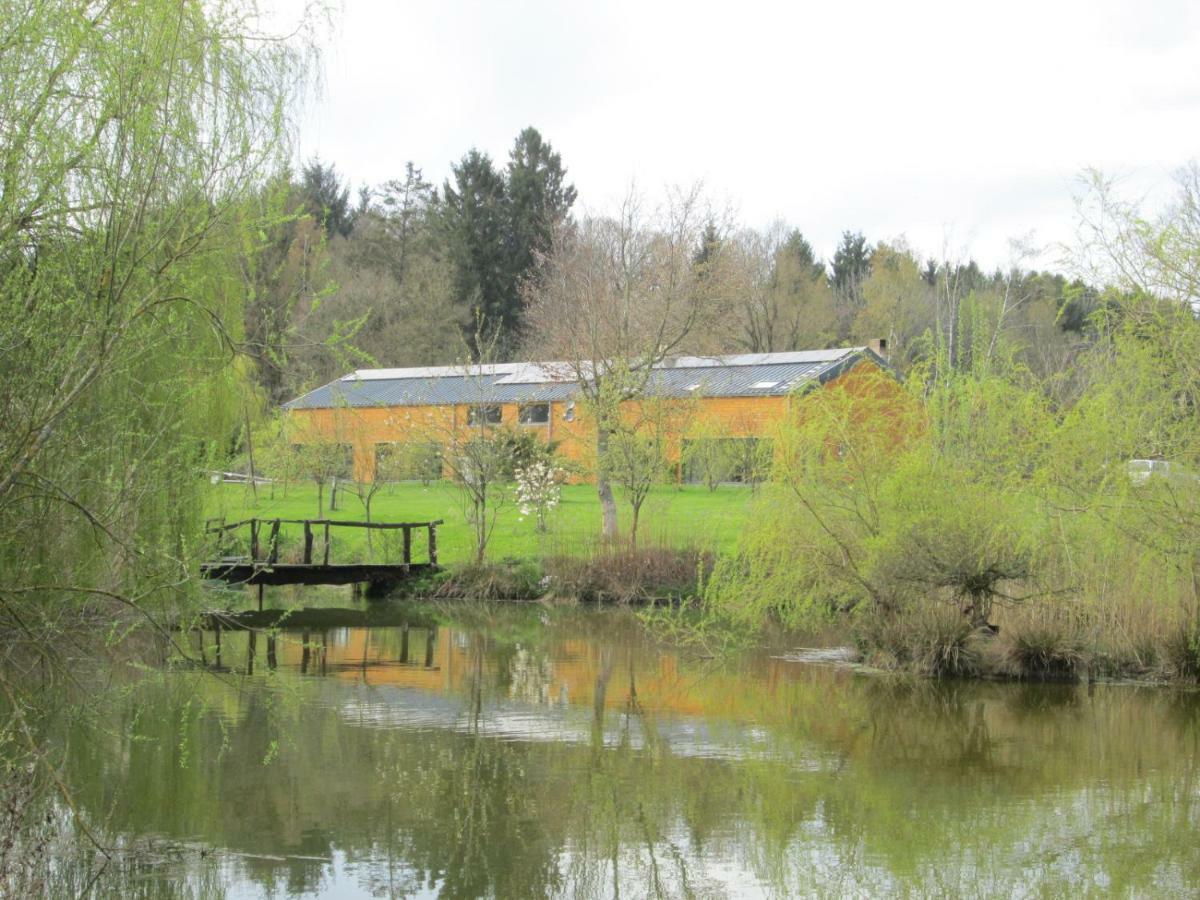 Florennes Gite Neuf 150 M2 Devant Un Grand Lac Prive De 2 Hectares Poissonneux Au Milieu Des Bois Exteriér fotografie