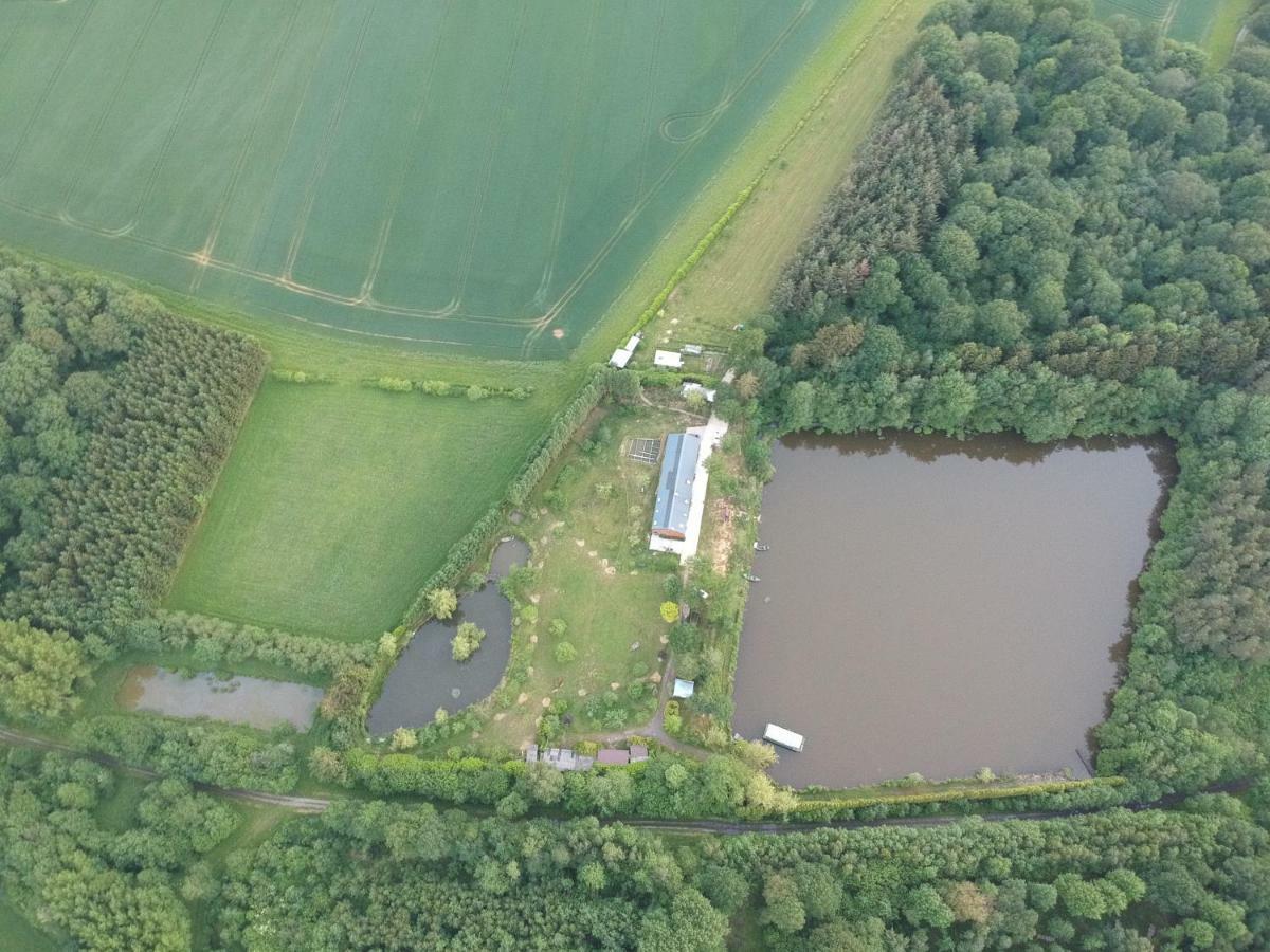 Florennes Gite Neuf 150 M2 Devant Un Grand Lac Prive De 2 Hectares Poissonneux Au Milieu Des Bois Exteriér fotografie