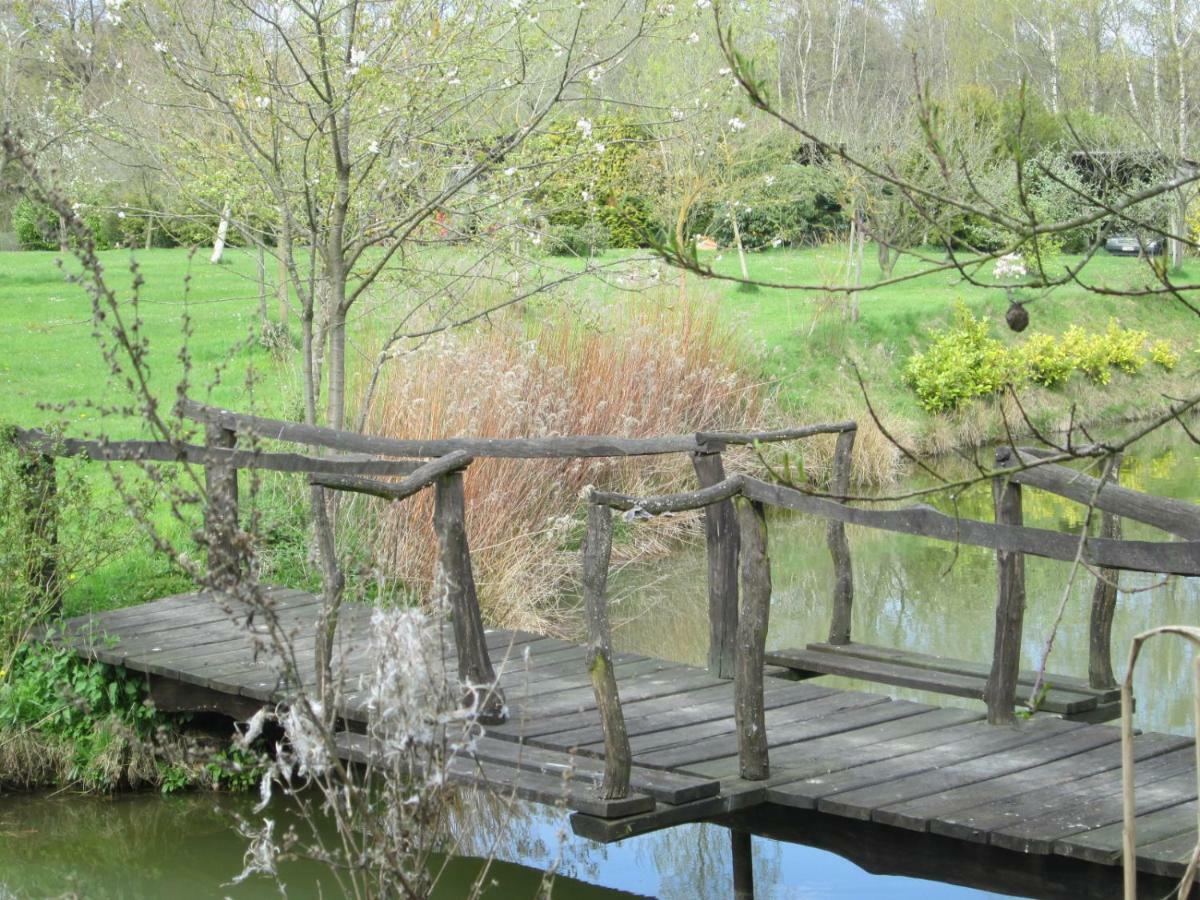 Florennes Gite Neuf 150 M2 Devant Un Grand Lac Prive De 2 Hectares Poissonneux Au Milieu Des Bois Exteriér fotografie