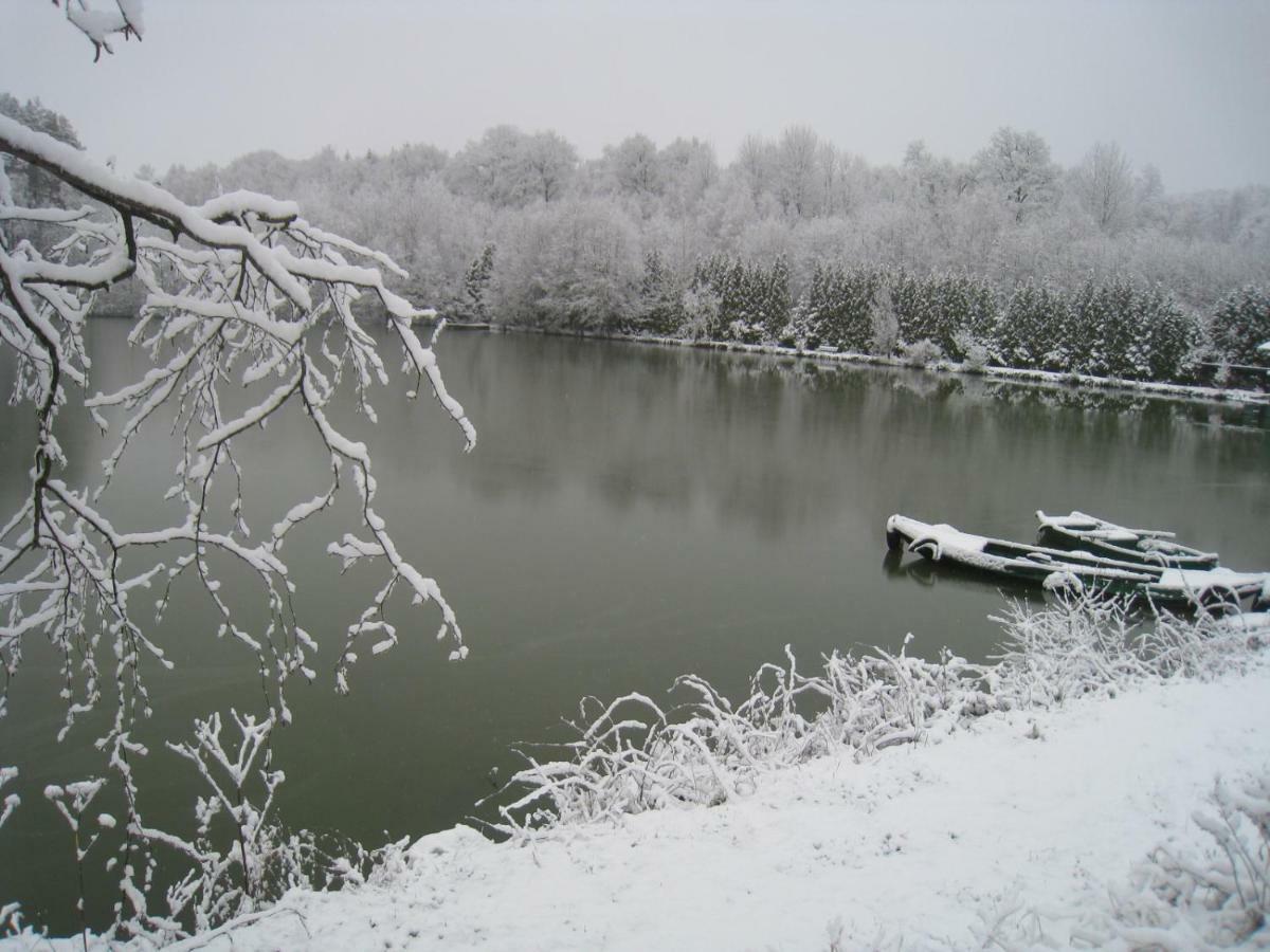 Florennes Gite Neuf 150 M2 Devant Un Grand Lac Prive De 2 Hectares Poissonneux Au Milieu Des Bois Exteriér fotografie
