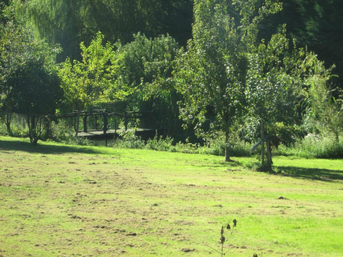 Florennes Gite Neuf 150 M2 Devant Un Grand Lac Prive De 2 Hectares Poissonneux Au Milieu Des Bois Exteriér fotografie