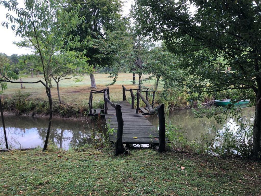 Florennes Gite Neuf 150 M2 Devant Un Grand Lac Prive De 2 Hectares Poissonneux Au Milieu Des Bois Exteriér fotografie