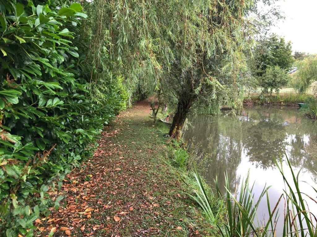 Florennes Gite Neuf 150 M2 Devant Un Grand Lac Prive De 2 Hectares Poissonneux Au Milieu Des Bois Exteriér fotografie